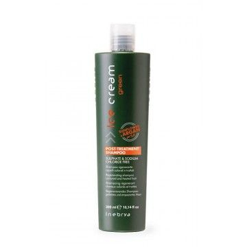 INEBRYA POST TRATTAMENT SHAMPOO  300 ML